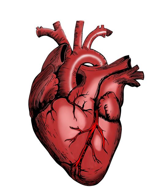 Kritéria pro kvalifikaci pro operaci srdce