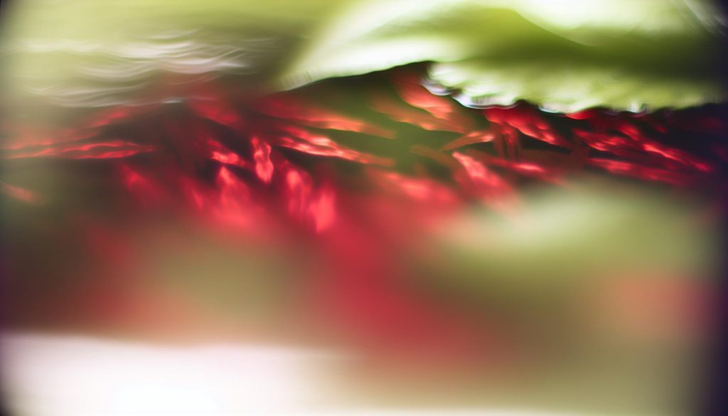 Červené Světlo Sinice: Růst a Fotosyntéza